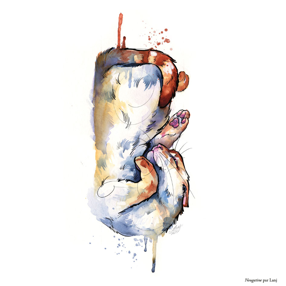 Cartes - Illustrations par Lanj (série 2025) – Image 6