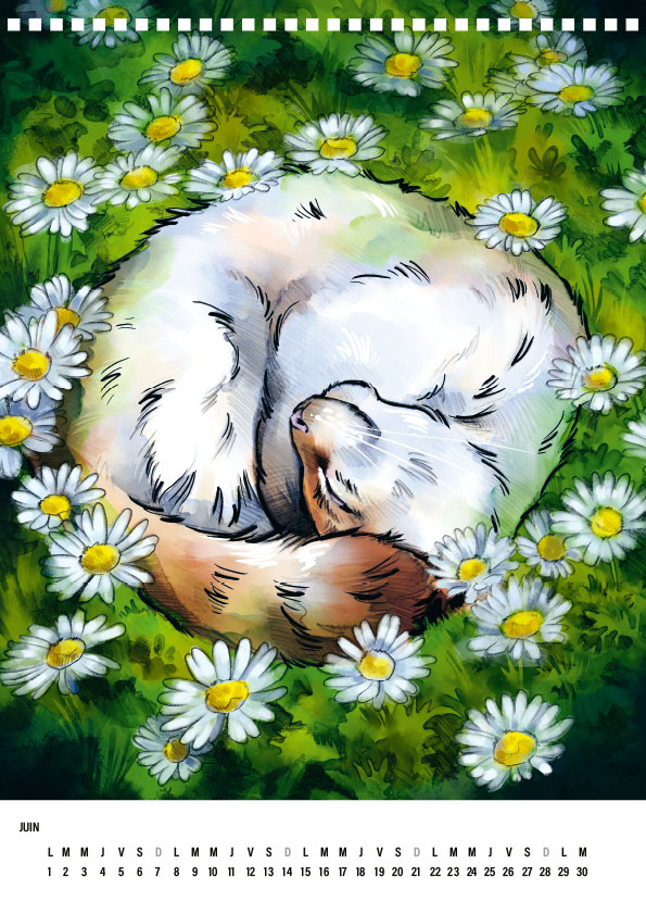 Les Voyages de Nougatine, Calendrier 2026 (PRÉCOMMANDE) – Image 5