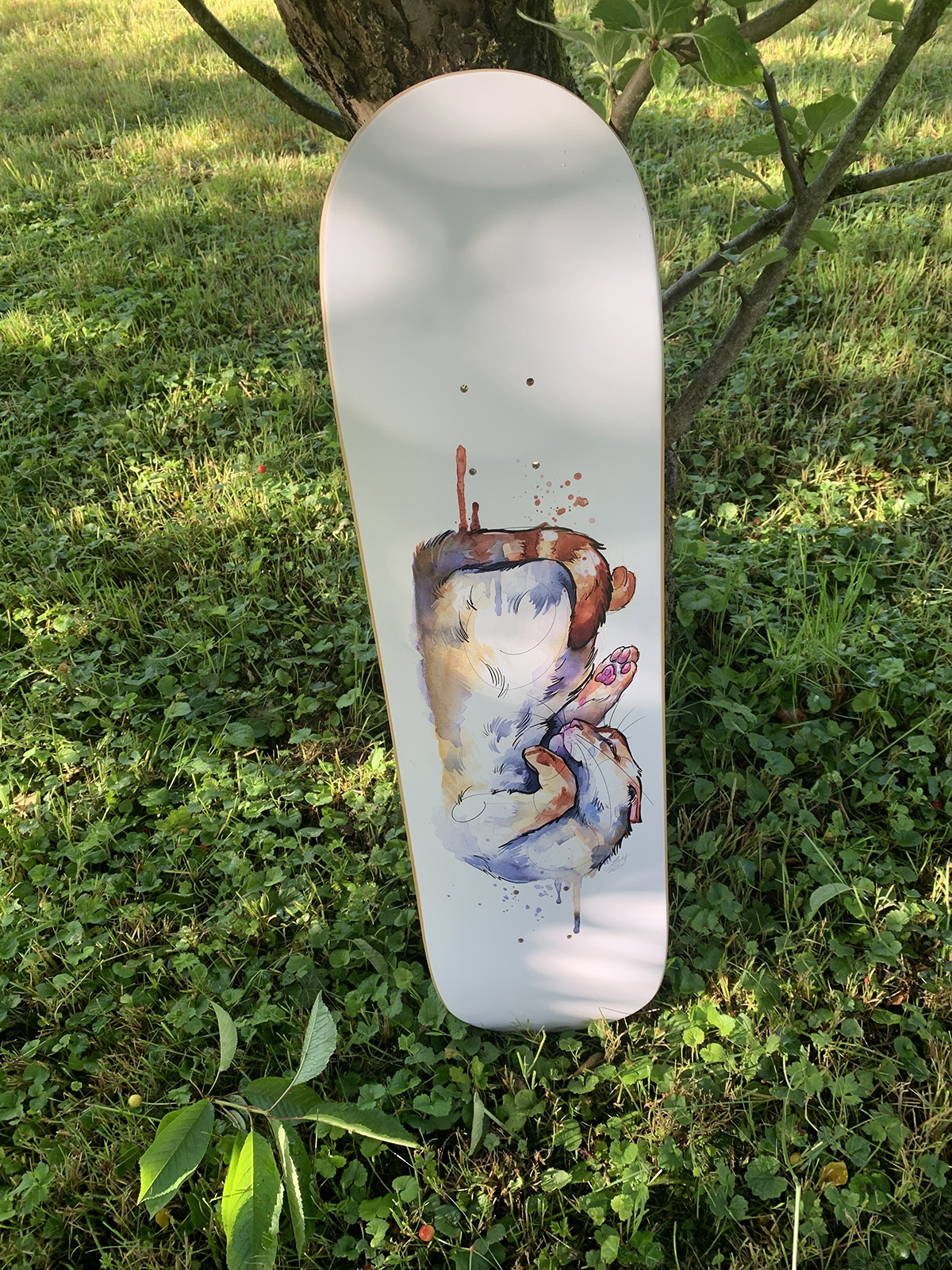 Nougatine, planche de skateboard – Image 4