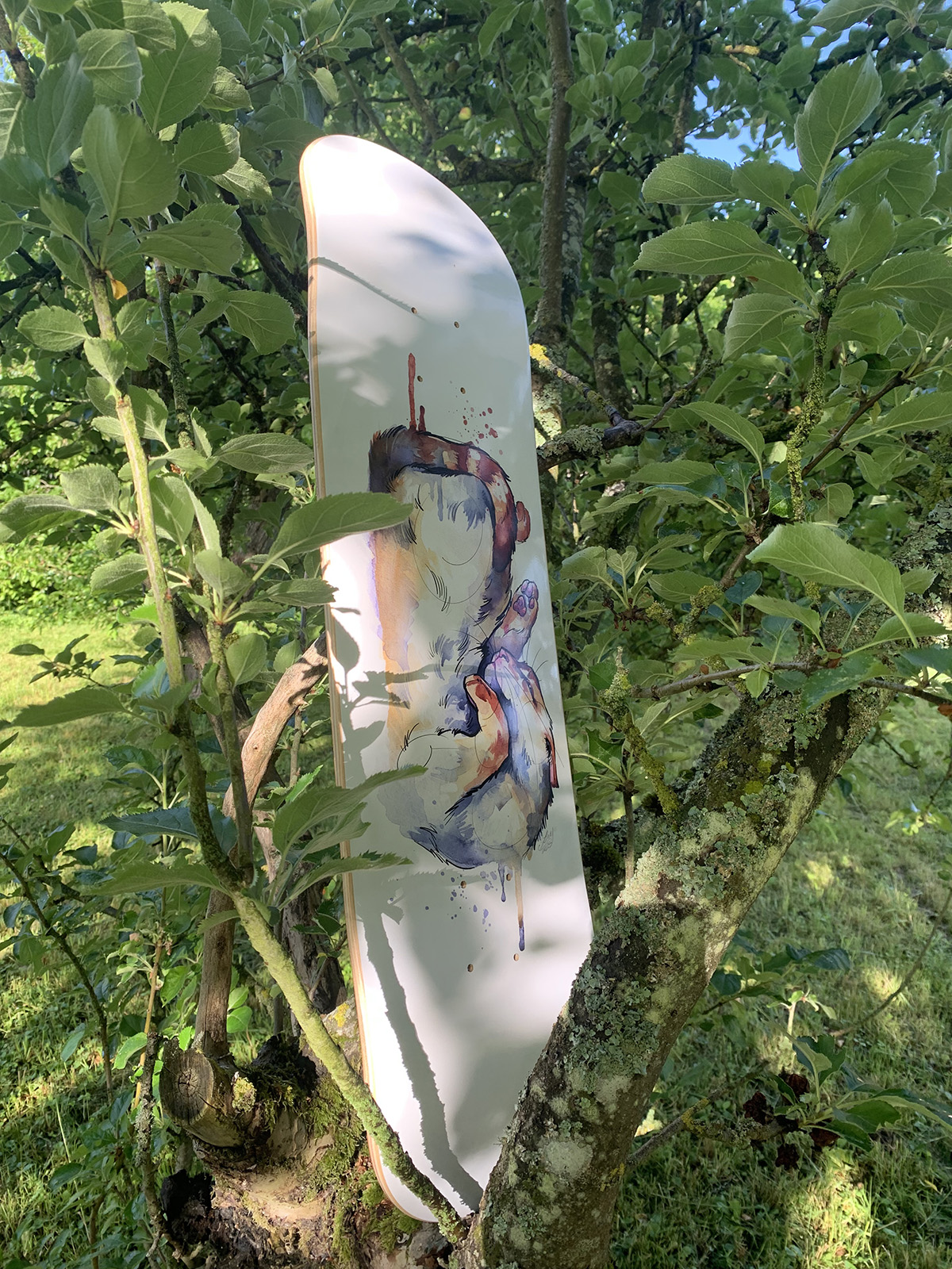 Nougatine, planche de skateboard – Image 3