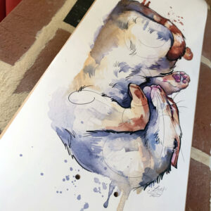 Nougatine, planche de skateboard