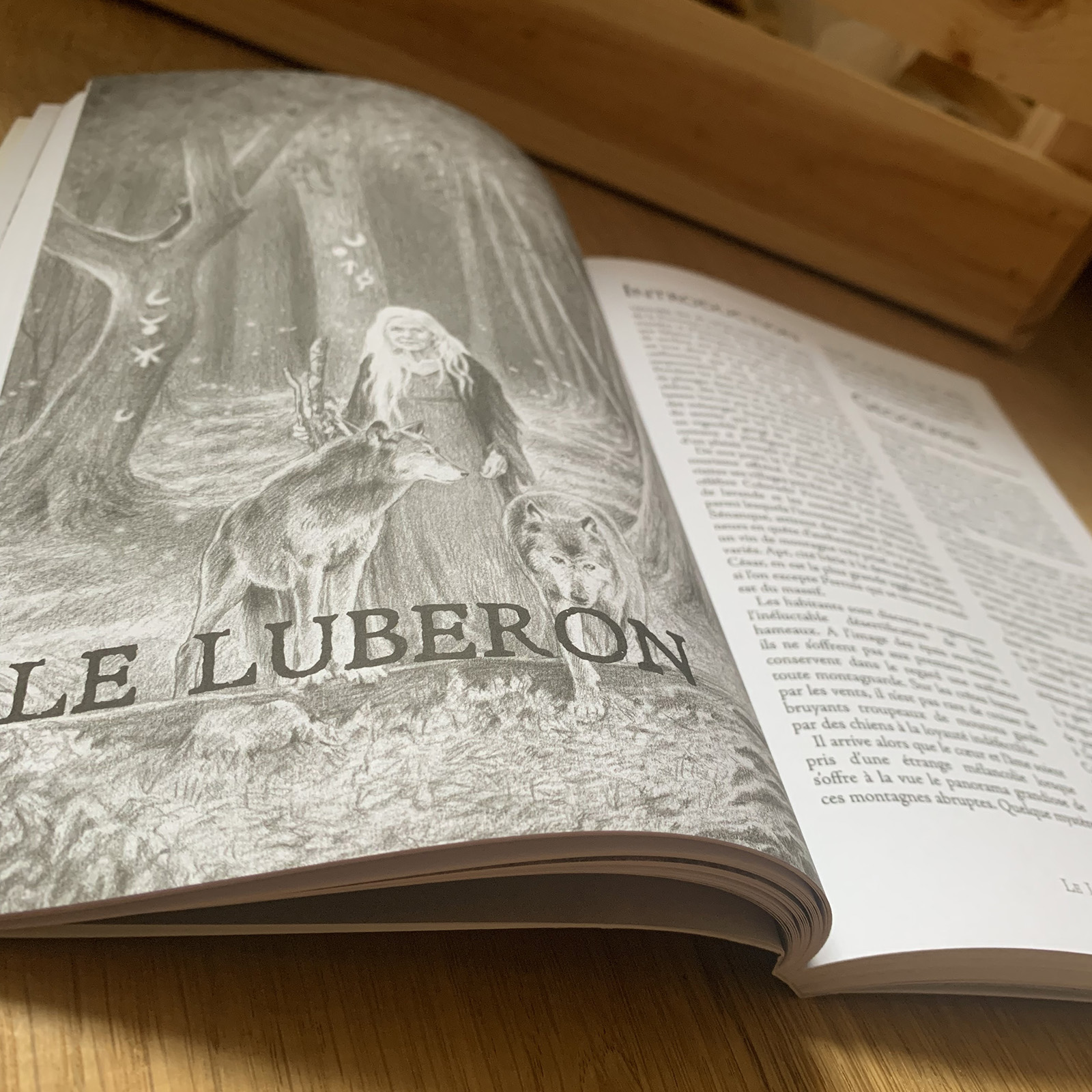 Meute - Errances (supplément) / nouvelle édition – Image 3